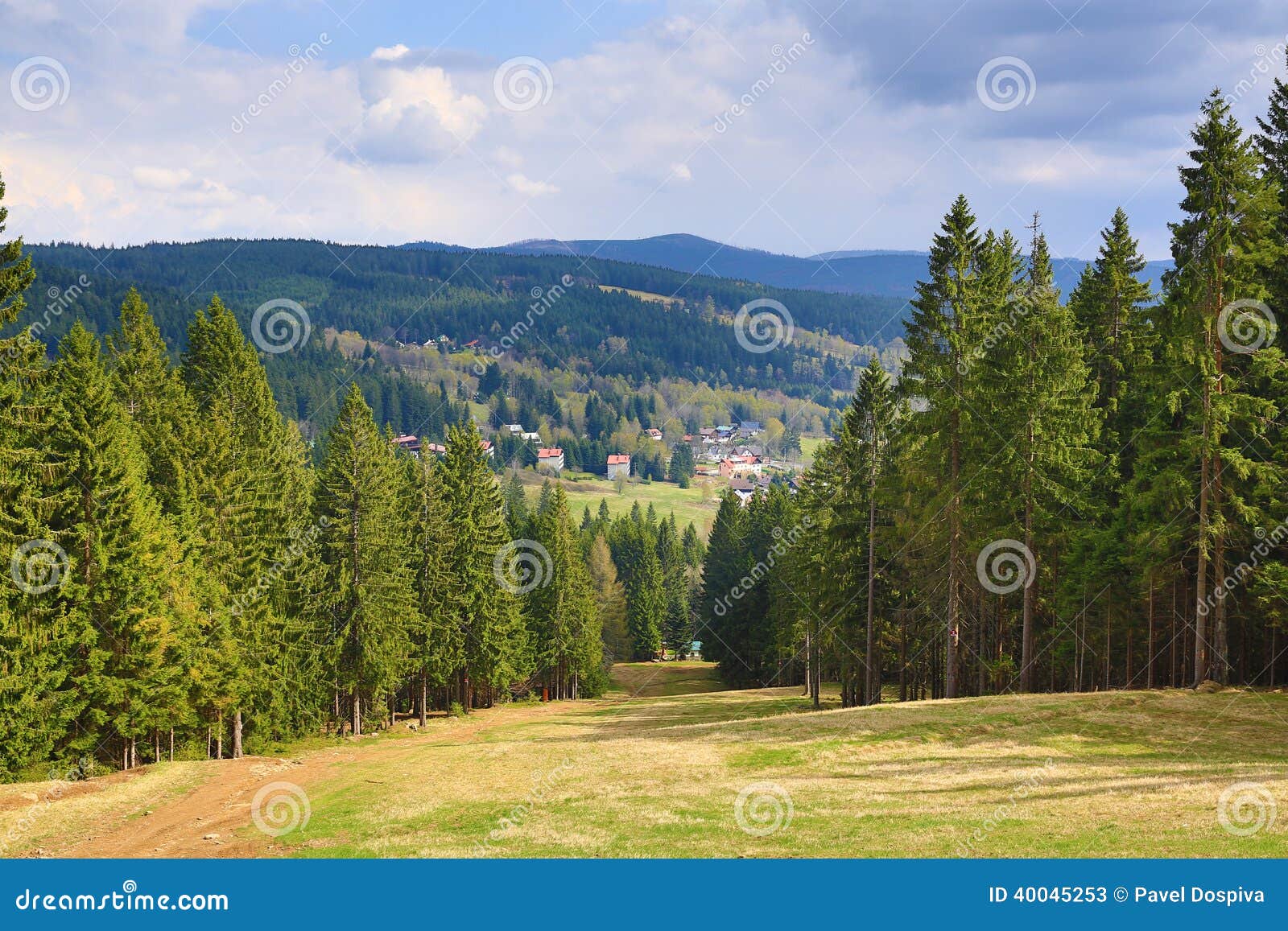 trees, spring landscape around ÃÂ piÃÂÃÂ¡k, ski resort, bohemian forest (ÃÂ umava), czech republic